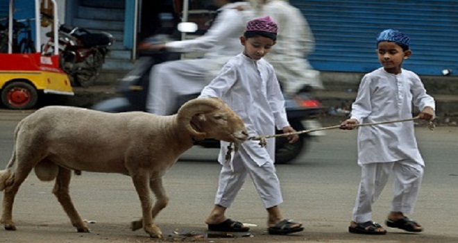 Indian Muslim boys take a goat for sacrifice after offering prayers on Eid al-Adha in Hyderabad, India, Wednesday, Nov. 17, 2010.