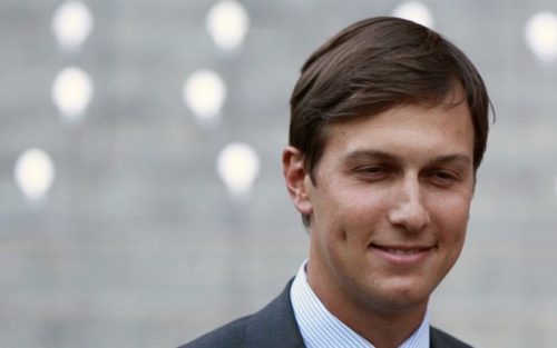 jaredkushner